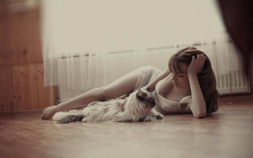 Скидки на ламинированные полы, ламинат