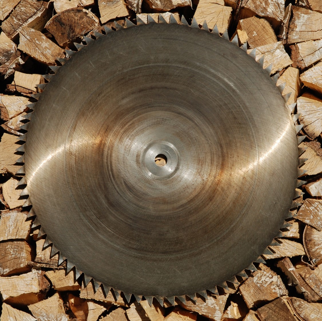 Новые позиции. диски для пилорам...